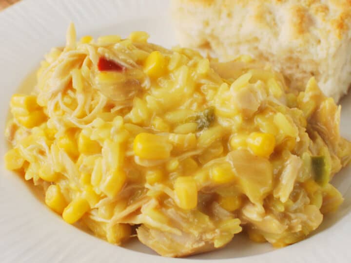 zatarain's yellow rice chicken crock pot