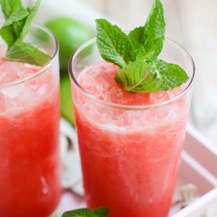 Watermelon Mint Margaritas