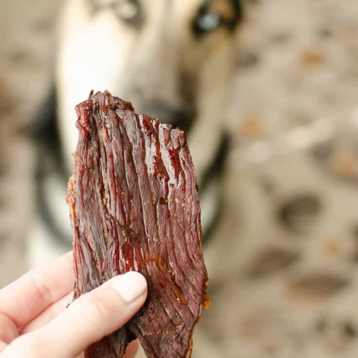 Beef Jerky for Dogs