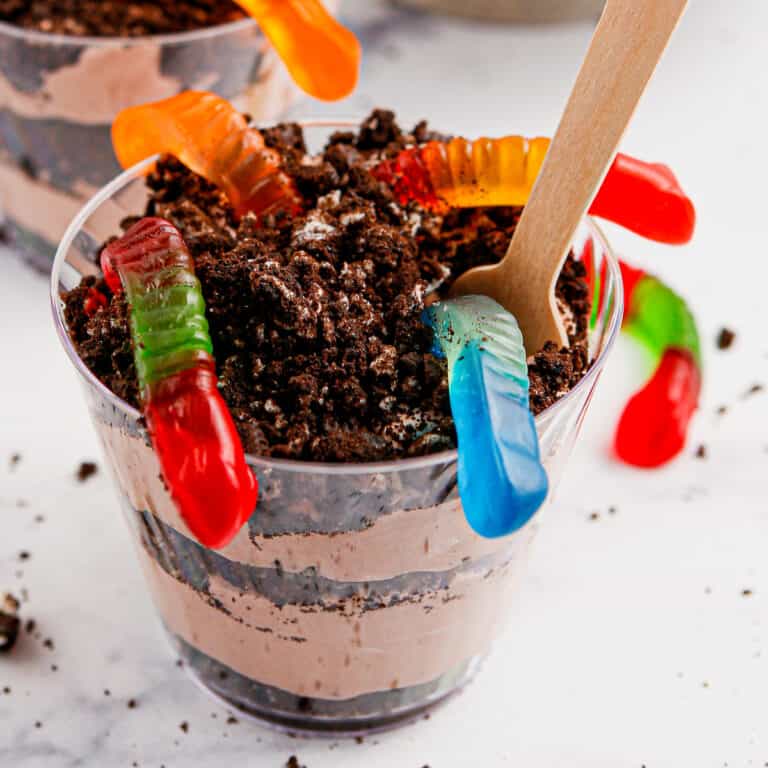 Fake Pudding Dirt and Worms Pudding Cups - Fake Ginger
